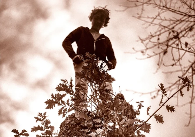 LE ROITELET de Jean-François Beauchemin