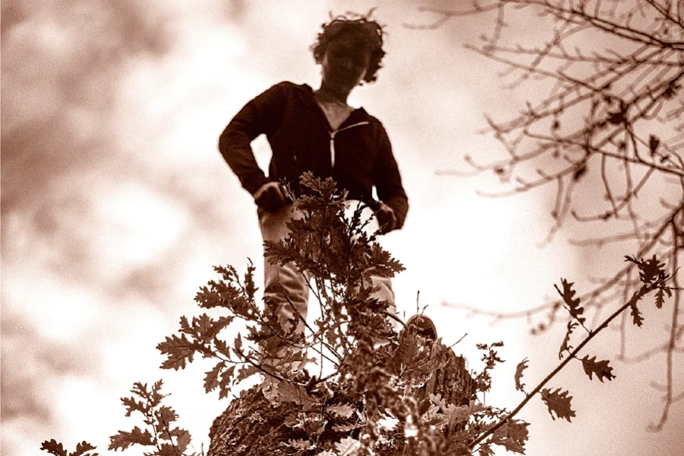 LE ROITELET de Jean-François Beauchemin